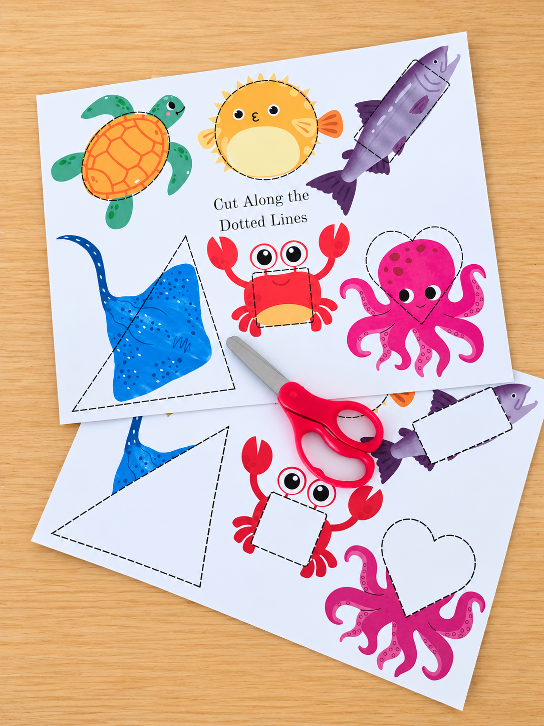 August Learning Kit