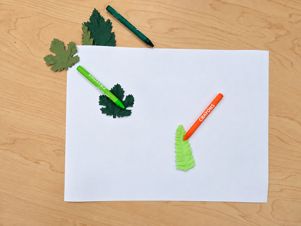 June Learning Kit
